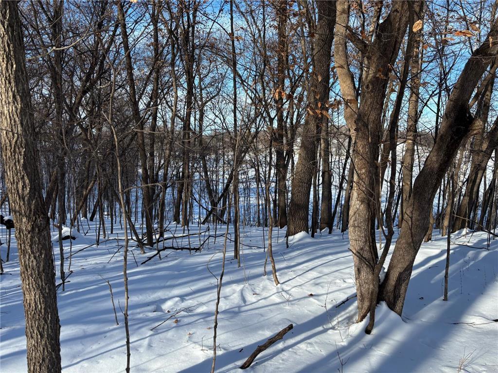 TBD Fern Lane Holmes City Twp MN 56343 - Oscar 7001874 image13