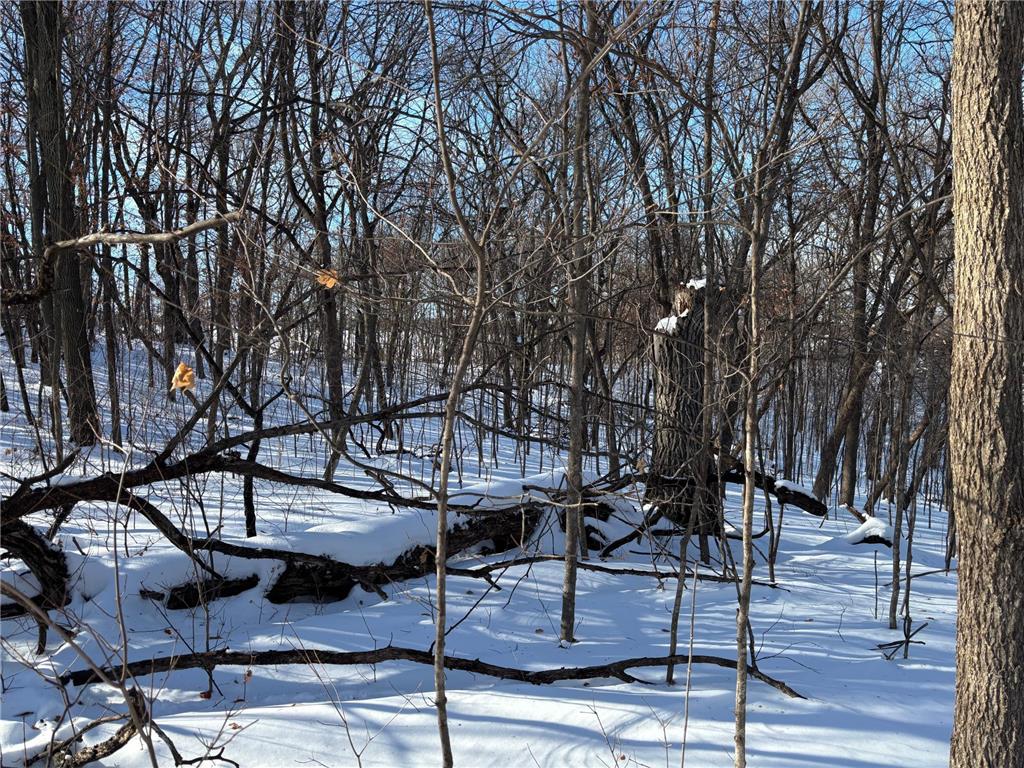 TBD Fern Lane Holmes City Twp MN 56343 - Oscar 7001874 image14