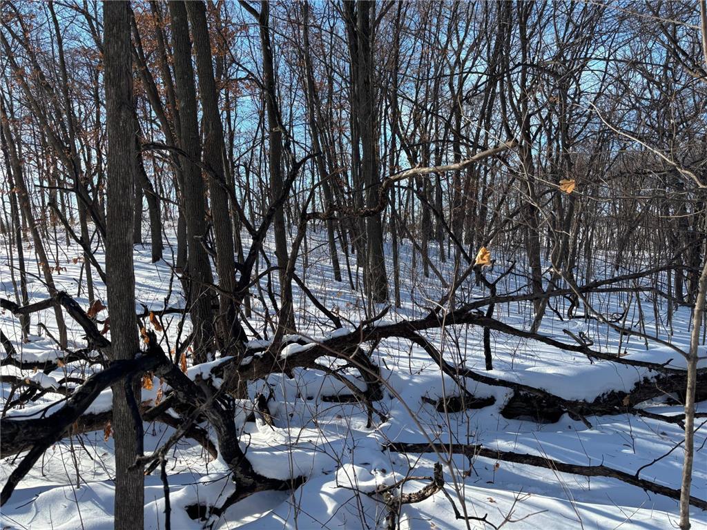 TBD Fern Lane Holmes City Twp MN 56343 - Oscar 7001874 image15