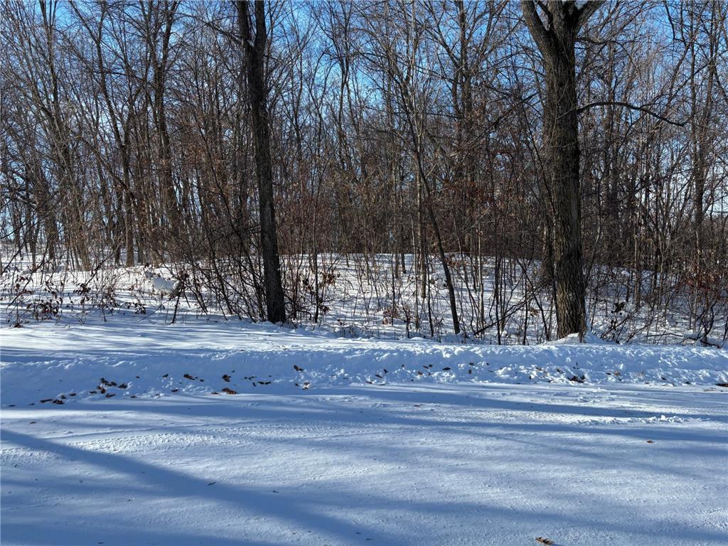 TBD Fern Lane Holmes City Twp MN 56343 - Oscar 7001874 image16