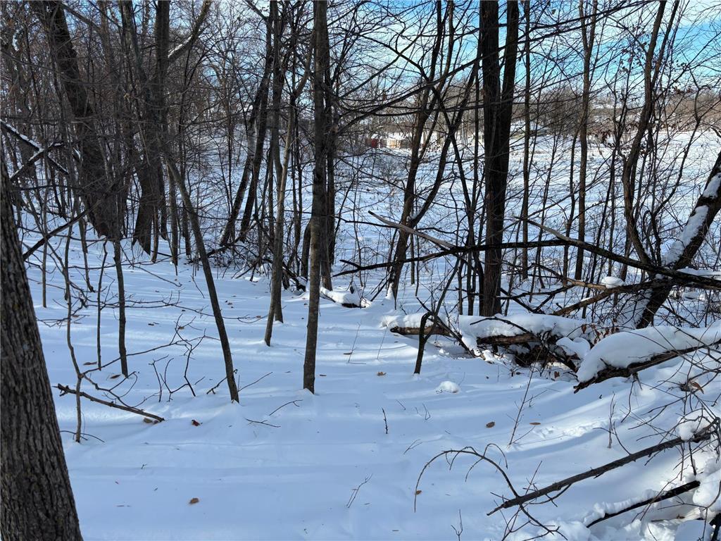 TBD Fern Lane Holmes City Twp MN 56343 - Oscar 7001874 image2