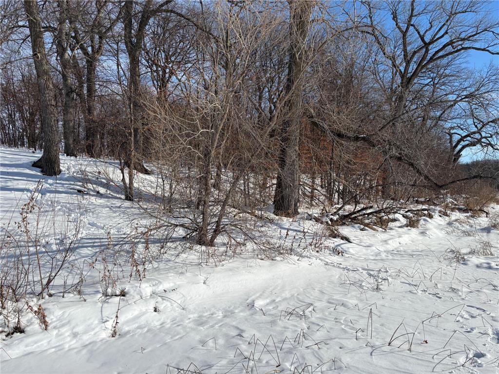 TBD Fern Lane Holmes City Twp MN 56343 - Oscar 7001874 image4