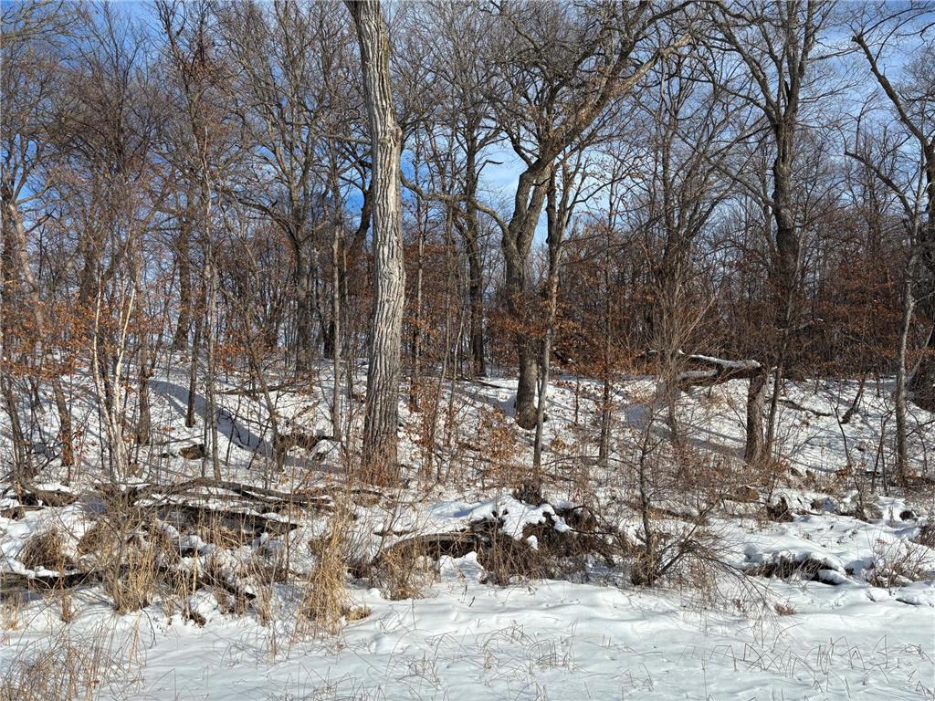 TBD Fern Lane Holmes City Twp MN 56343 - Oscar 7001874 image5