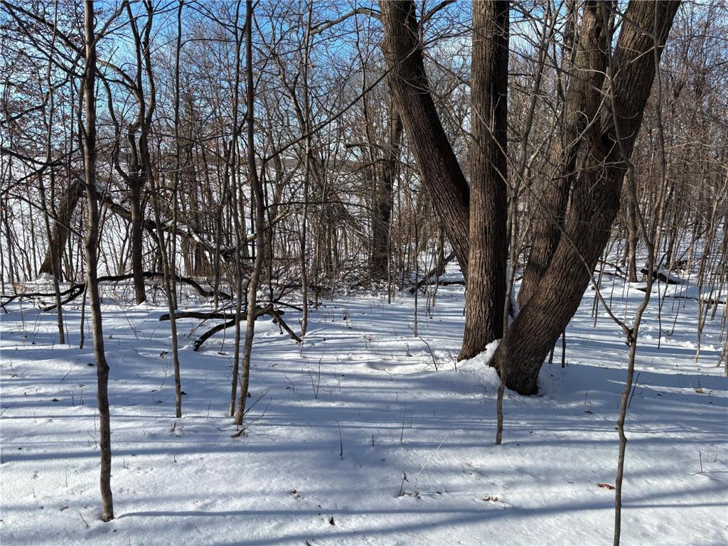 TBD Fern Lane Holmes City Twp MN 56343 - Oscar 7001874 image8