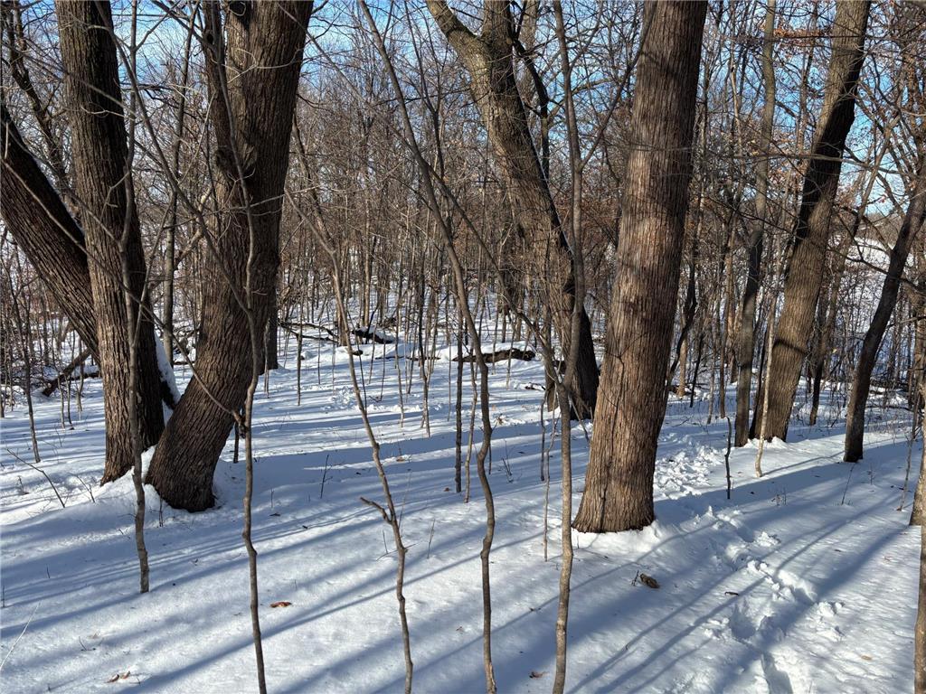 TBD Fern Lane Holmes City Twp MN 56343 - Oscar 7001874 image9