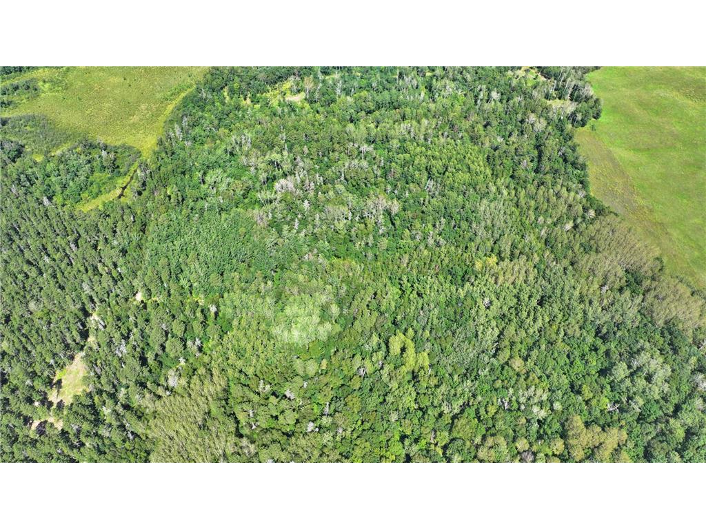 TBD Firewood Trl Park Rapids MN 56470 6585405 image1