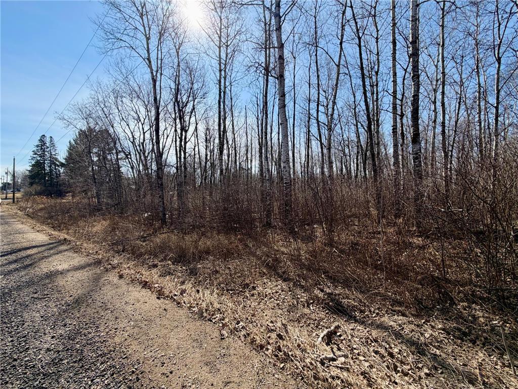 TBD First Avenue N Hibbing MN 55746 7044232 image1