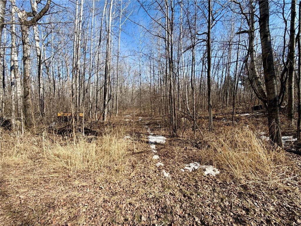 TBD First Avenue N Hibbing MN 55746 7044232 image2
