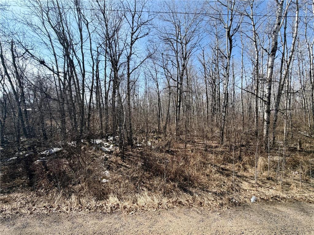 TBD First Avenue N Hibbing MN 55746 7044232 image4