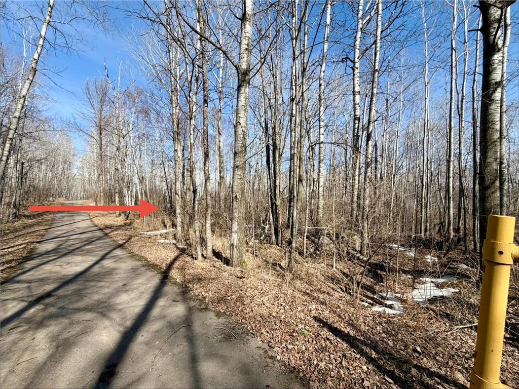 TBD First Avenue N Hibbing MN 55746 7044232 image6