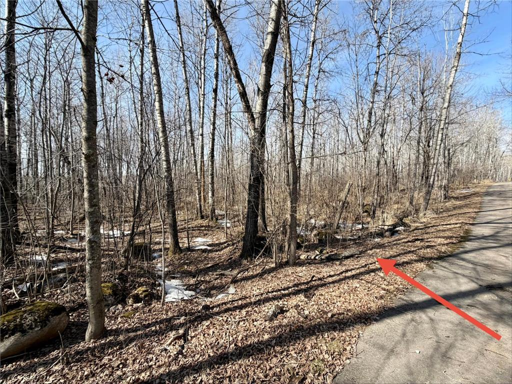 TBD First Avenue N Hibbing MN 55746 7044232 image7