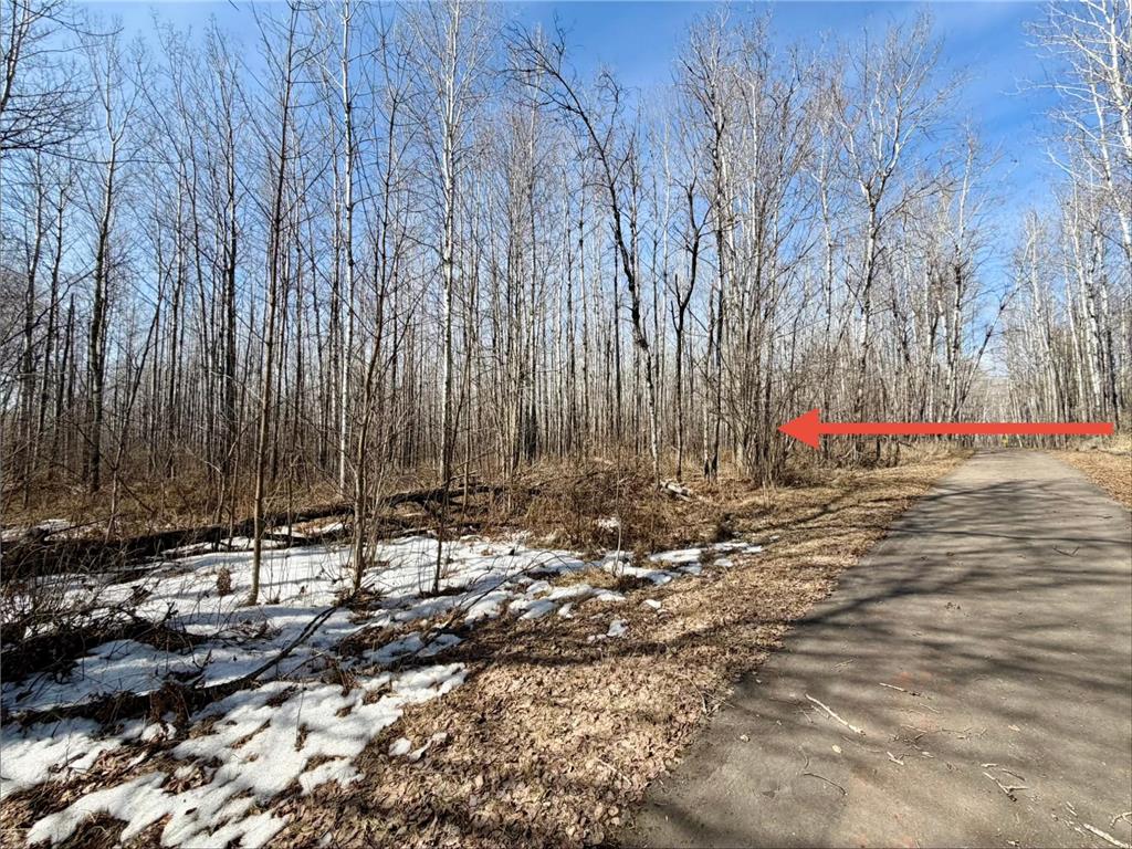 TBD First Avenue N Hibbing MN 55746 7044232 image8