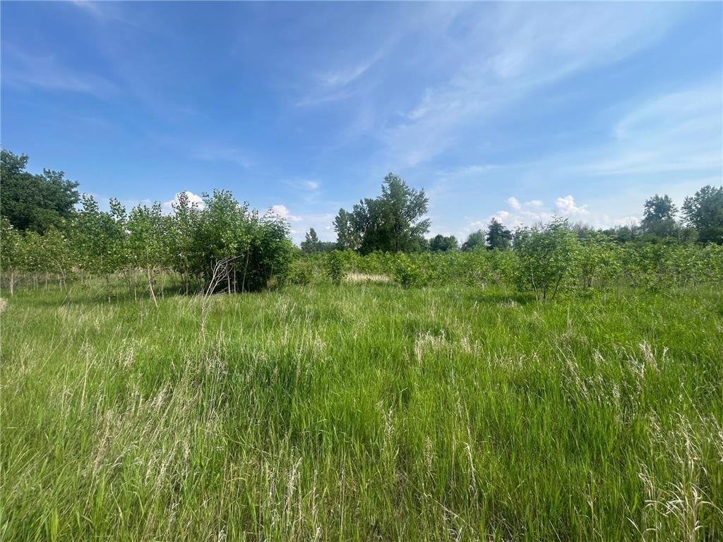 TBD First Avenue SW Worthington MN 56187 6734829 image6