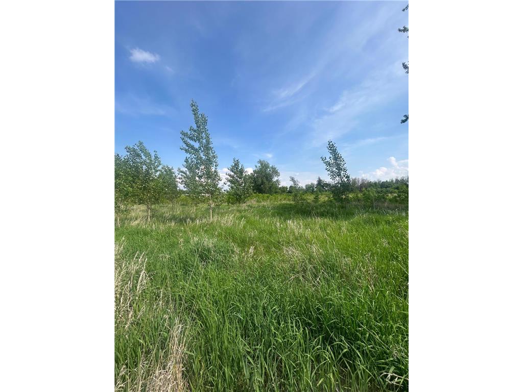 TBD First Avenue SW Worthington MN 56187 6734829 image7