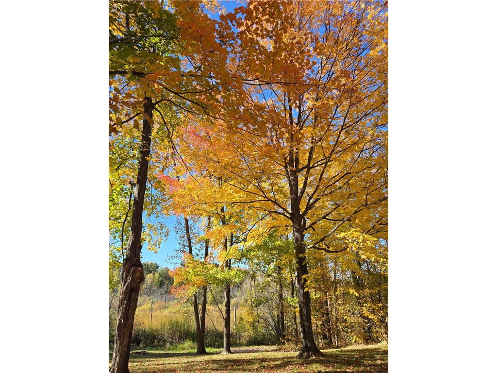 TBD Fish Trap Lake Drive Cushing MN 56473 6631594 image1