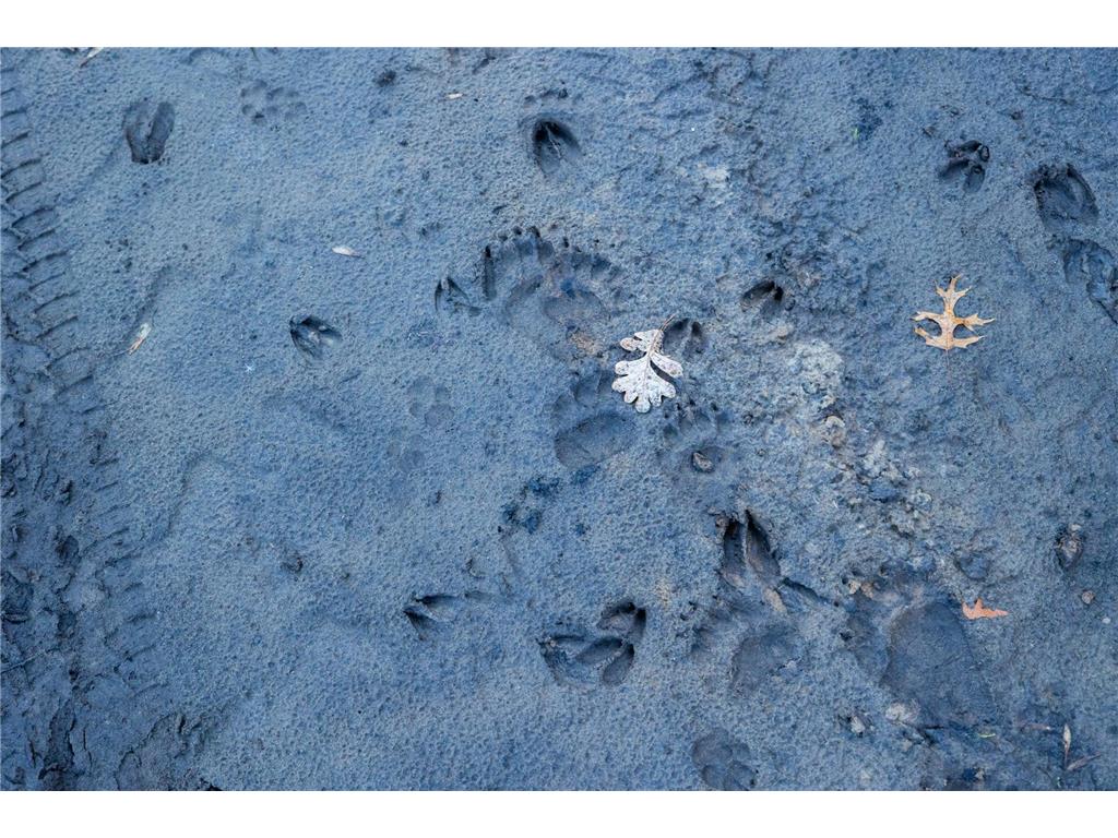 TBD Flamingo Street NW Oak Grove MN 55011 6801517 image10