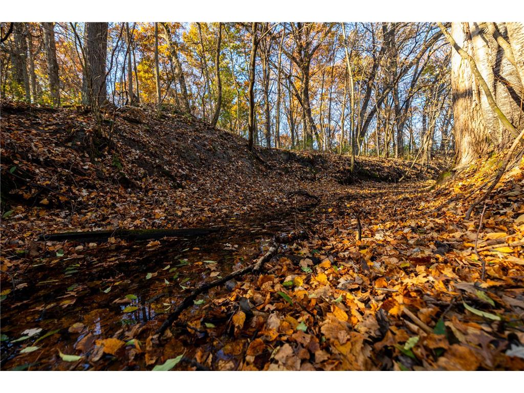 TBD Flamingo Street NW Oak Grove MN 55011 6801517 image11