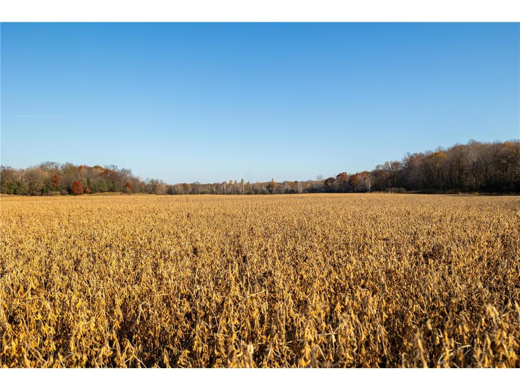 TBD Flamingo Street NW Oak Grove MN 55011 6801517 image12