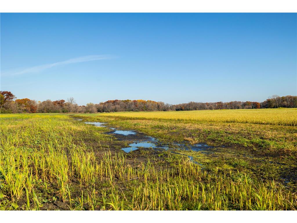 TBD Flamingo Street NW Oak Grove MN 55011 6801517 image19