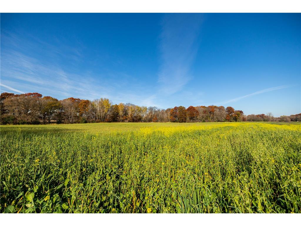 TBD Flamingo Street NW Oak Grove MN 55011 6801517 image21