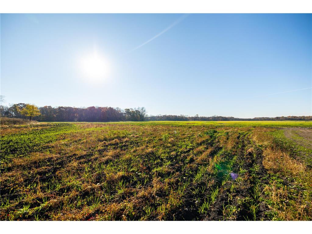 TBD Flamingo Street NW Oak Grove MN 55011 6801517 image3