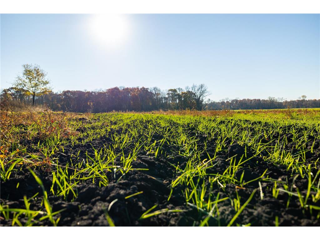 TBD Flamingo Street NW Oak Grove MN 55011 6801517 image4