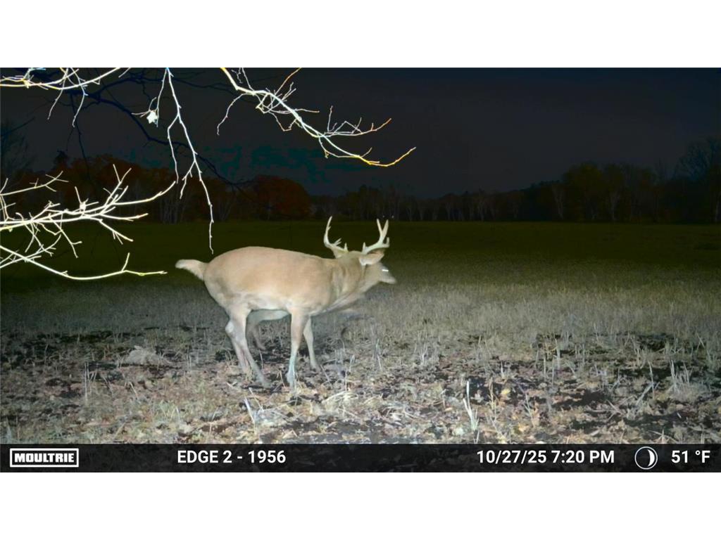 TBD Flamingo Street NW Oak Grove MN 55011 6801517 image43