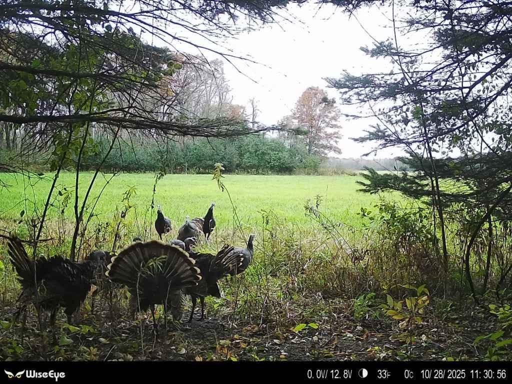 TBD Flamingo Street NW Oak Grove MN 55011 6801517 image44