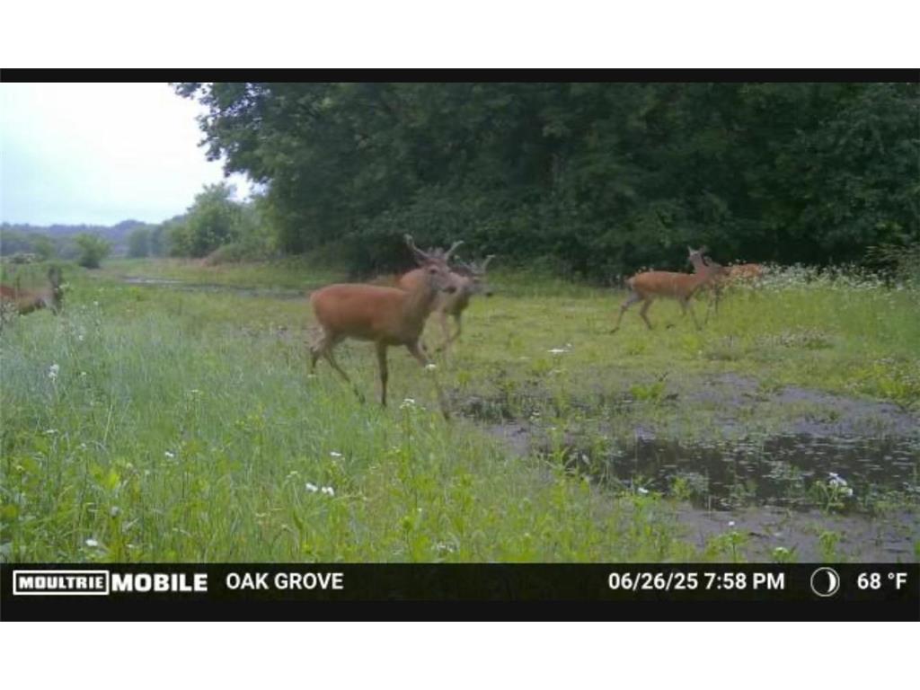 TBD Flamingo Street NW Oak Grove MN 55011 6801517 image45