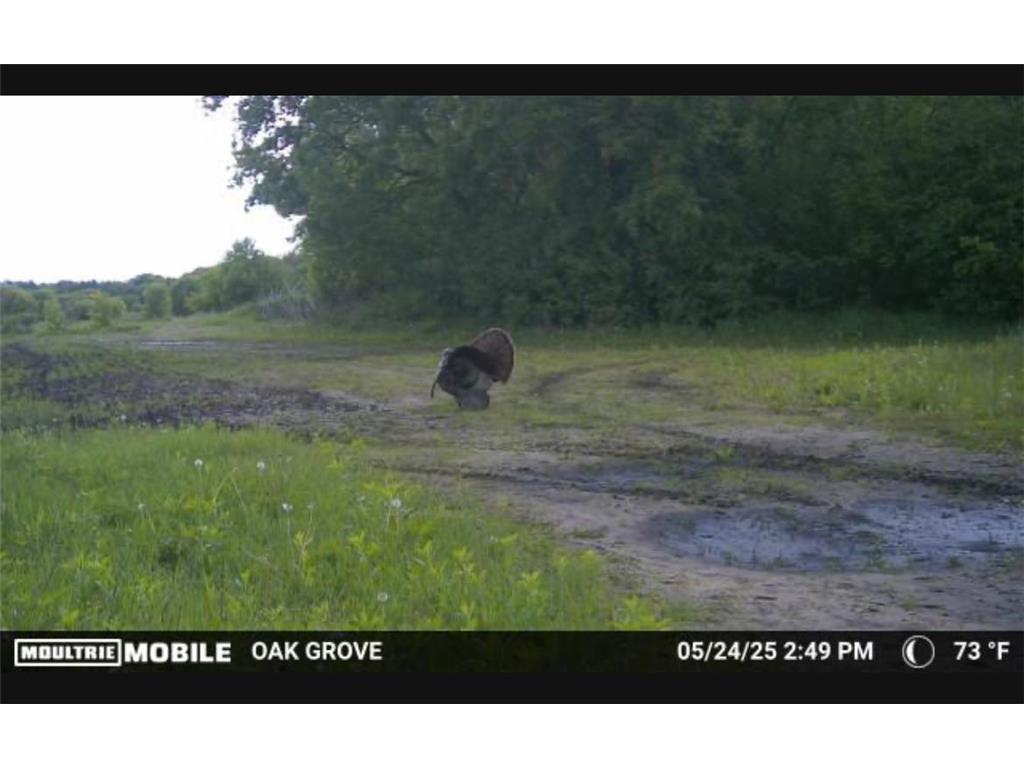 TBD Flamingo Street NW Oak Grove MN 55011 6801517 image46