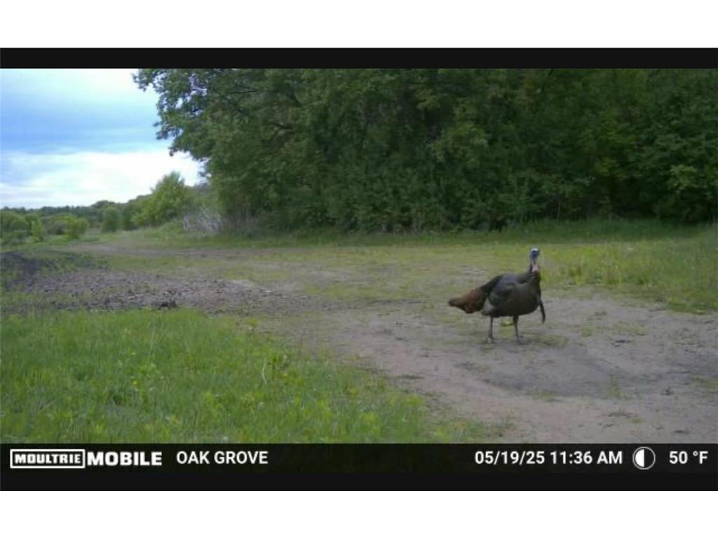 TBD Flamingo Street NW Oak Grove MN 55011 6801517 image47