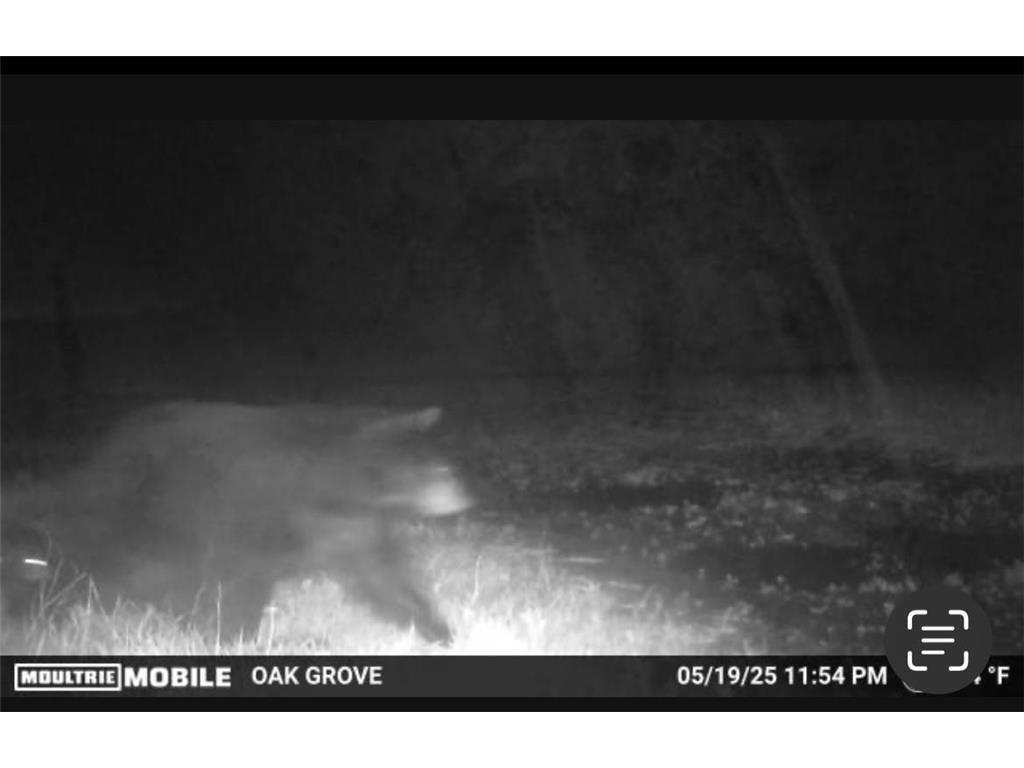 TBD Flamingo Street NW Oak Grove MN 55011 6801517 image48