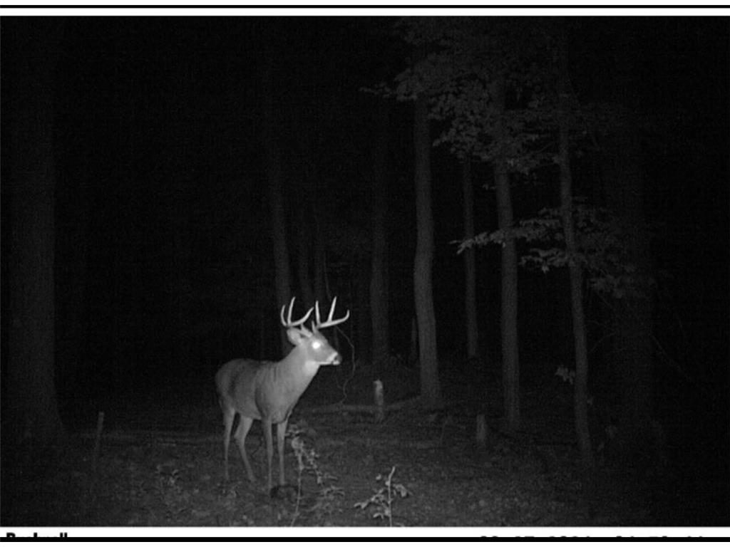 TBD Flamingo Street NW Oak Grove MN 55011 6801517 image49