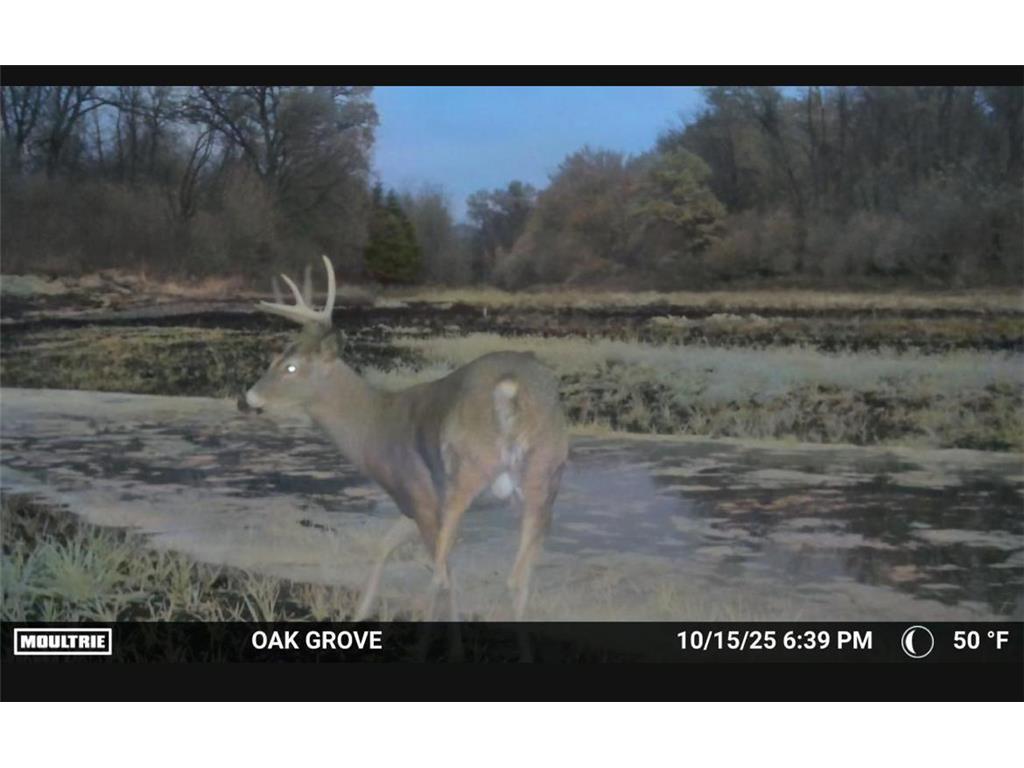 TBD Flamingo Street NW Oak Grove MN 55011 6801517 image51