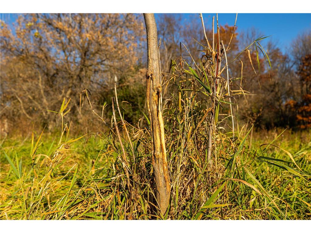 TBD Flamingo Street NW Oak Grove MN 55011 6801517 image6