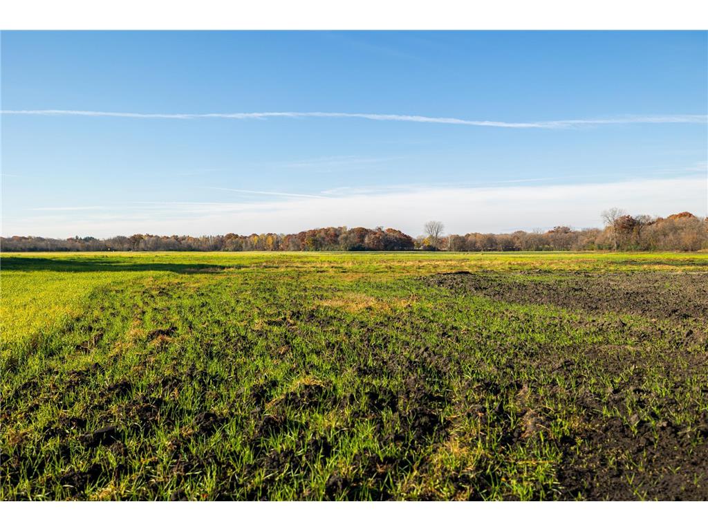 TBD Flamingo Street NW Oak Grove MN 55011 6801517 image7