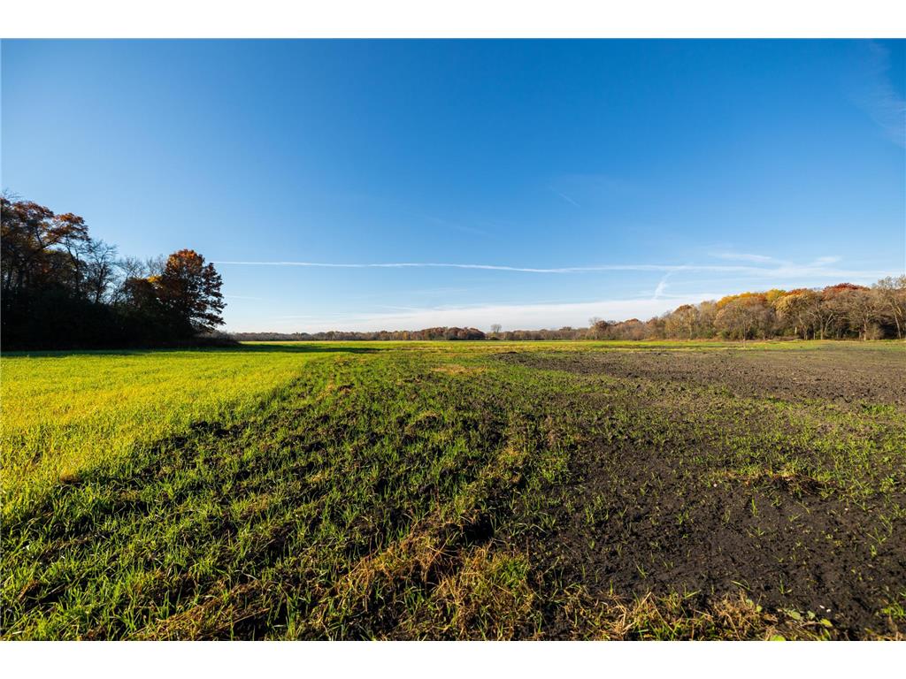 TBD Flamingo Street NW Oak Grove MN 55011 6801517 image8