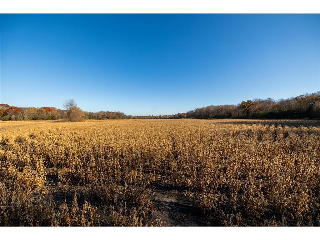 TBD Flamingo Street NW Oak Grove MN 55011 6801517 image9