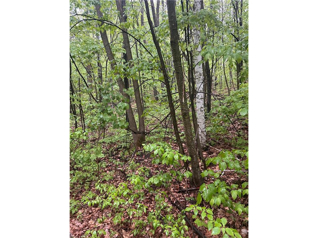 TBD Flintstone Cushing Twp MN 56443 6726257 image1