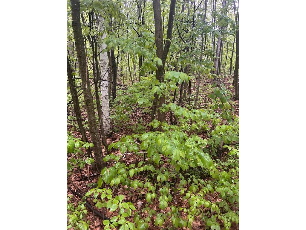 TBD Flintstone Cushing Twp MN 56443 6726257 image2