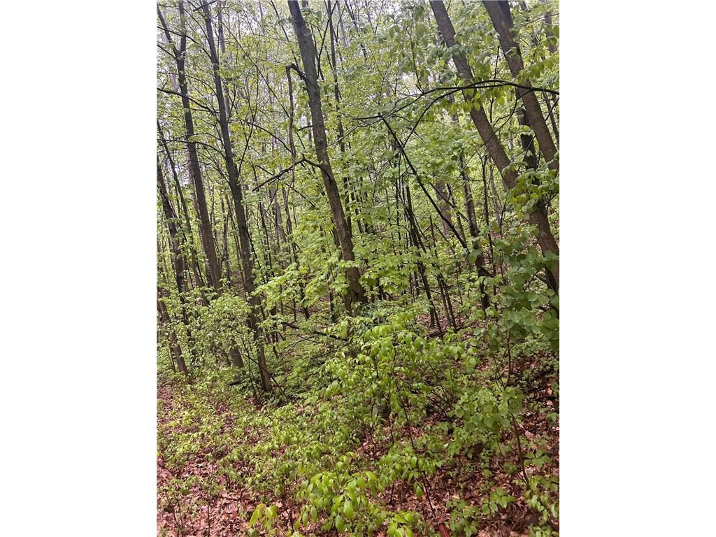 TBD Flintstone Cushing Twp MN 56443 6726257 image3