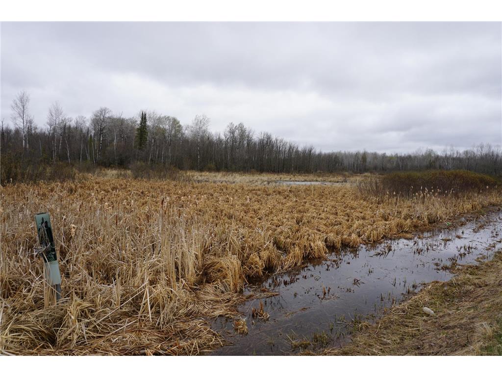 TBD Floodwood Road Halden Twp MN 55736 6538028 image1
