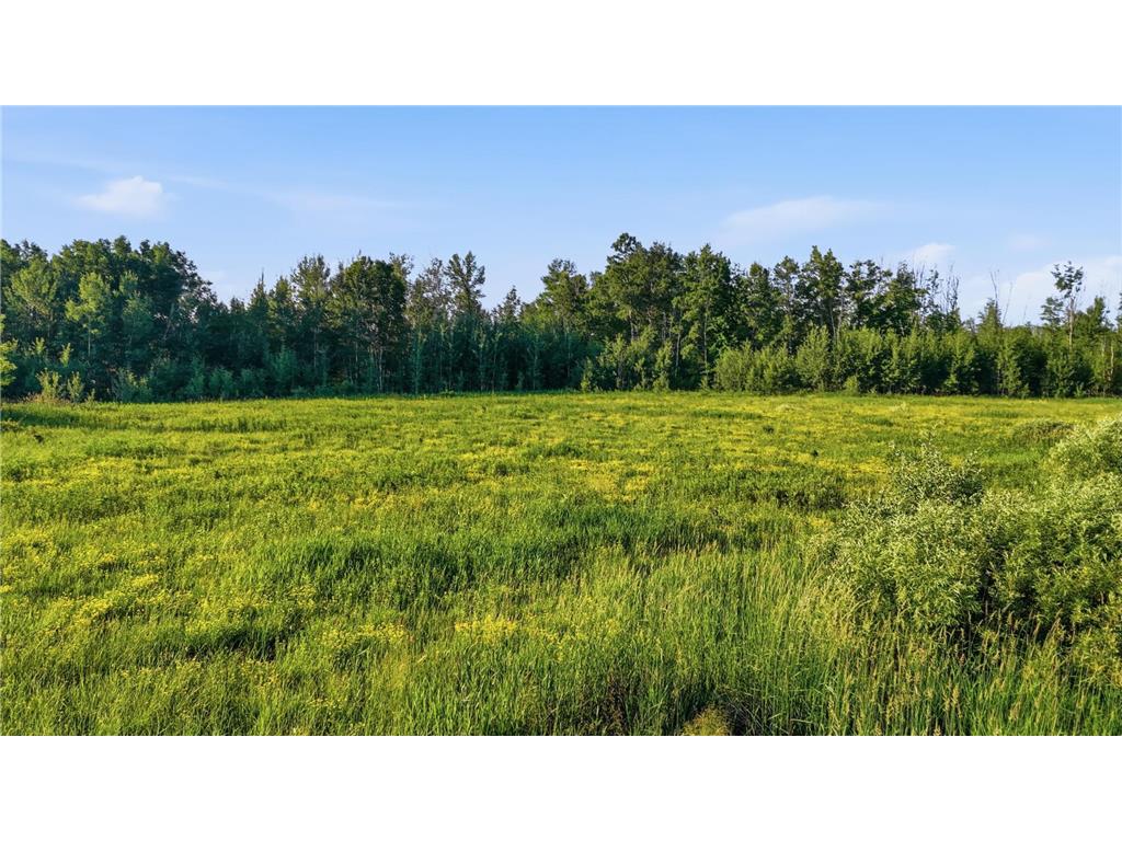 TBD Florence Dr Moose Lake Twp MN 55767 7105391 image2