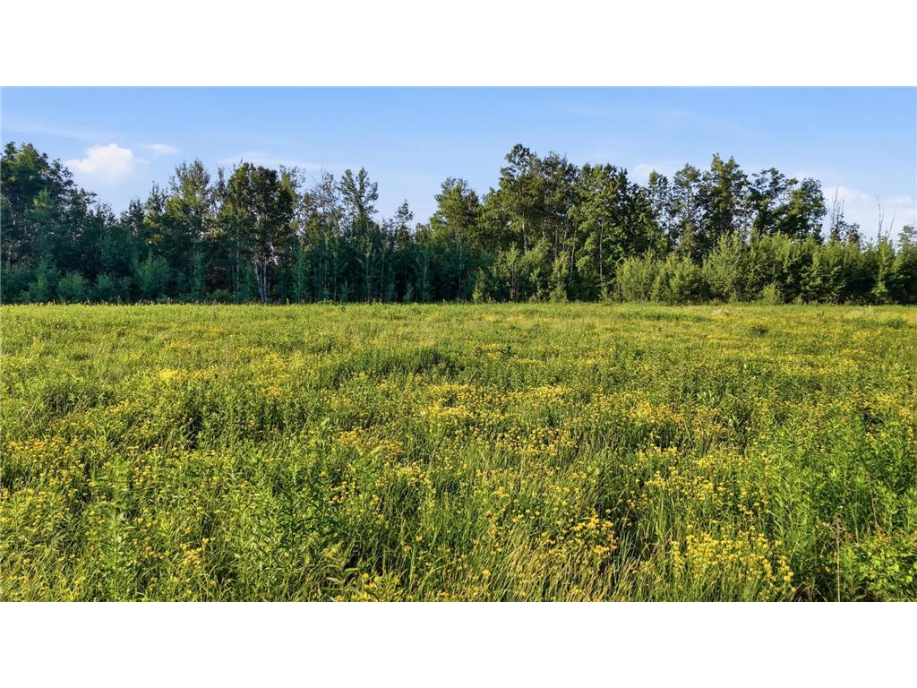 TBD Florence Dr Moose Lake Twp MN 55767 7105391 image3