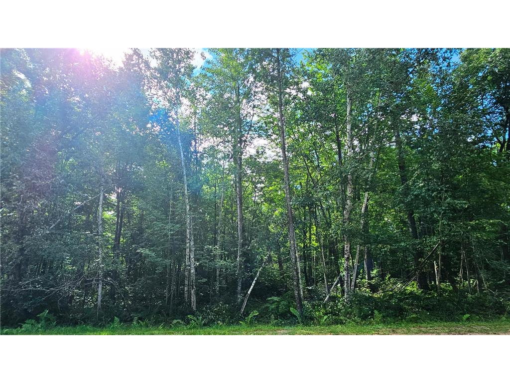 TBD Flower Trail Breezy Point MN 56472 6760177 image15