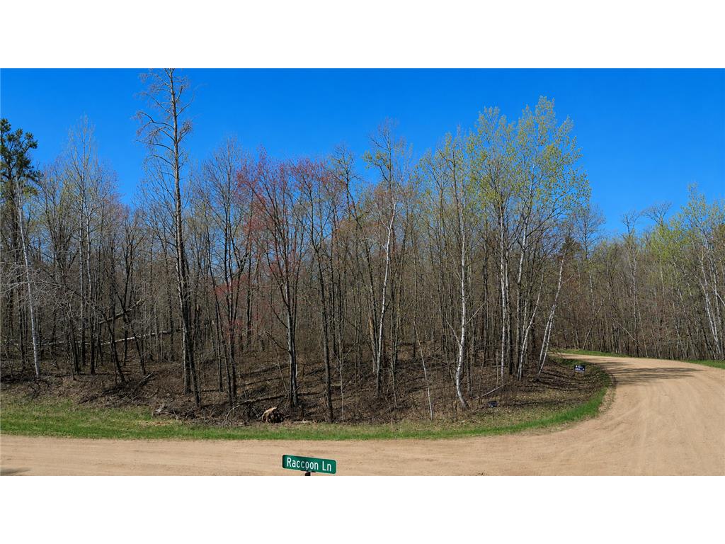 TBD Flower Trail Breezy Point MN 56472 7070364 image1