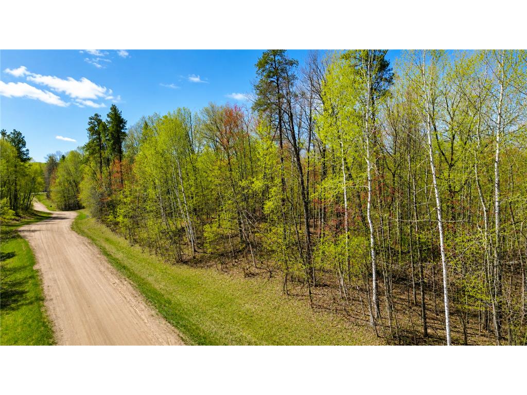 TBD Flower Trail Breezy Point MN 56472 7070364 image3