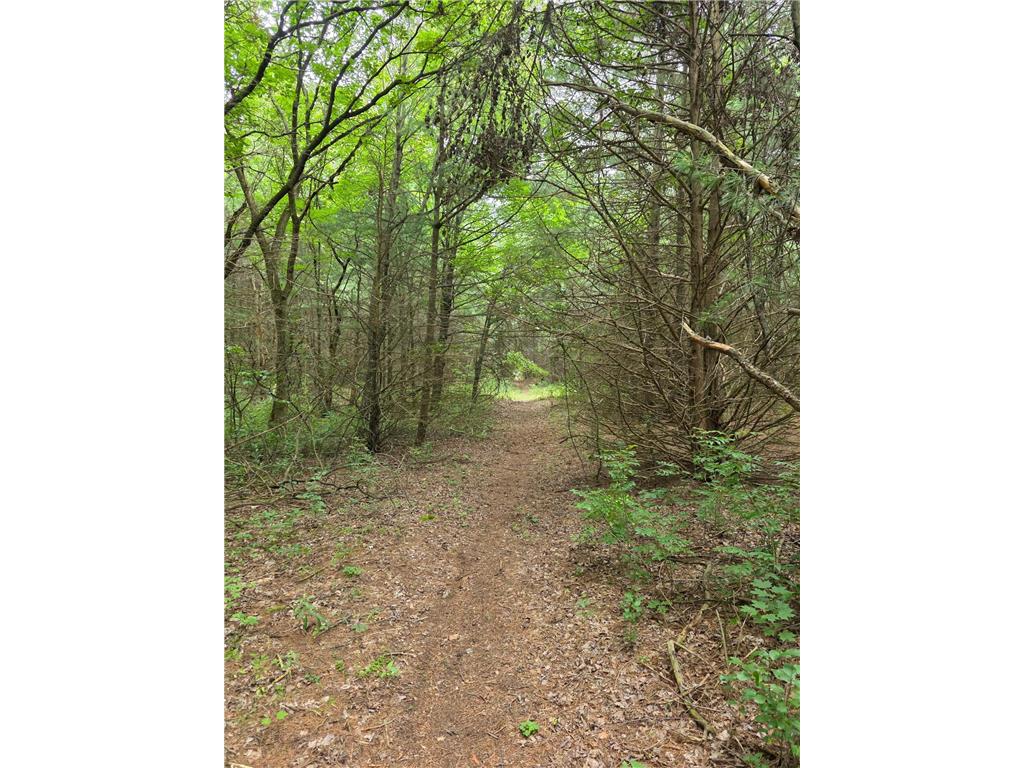 TBD Folsom Street Taylors Falls MN 55074 7051826 image3