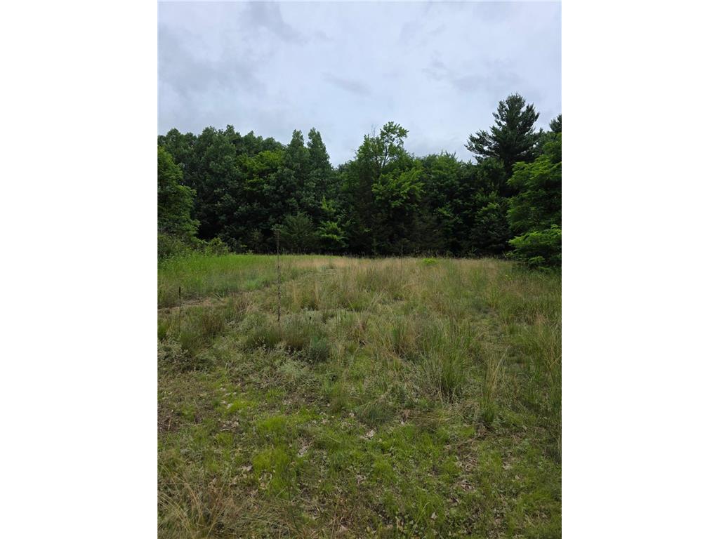 TBD Folsom Street Taylors Falls MN 55074 7051826 image4