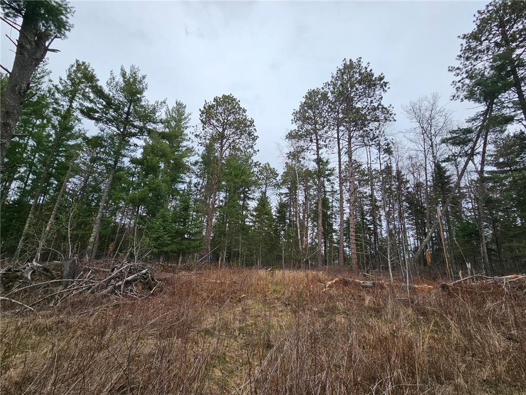 TBD Forbes Lane Longville MN 56655 6530629 image1